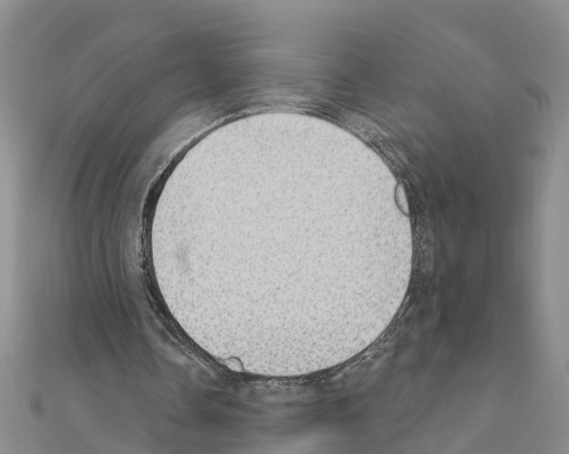 X0000111040338200908061501