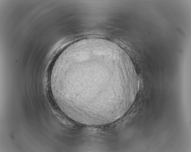 X0000111040339200908061501