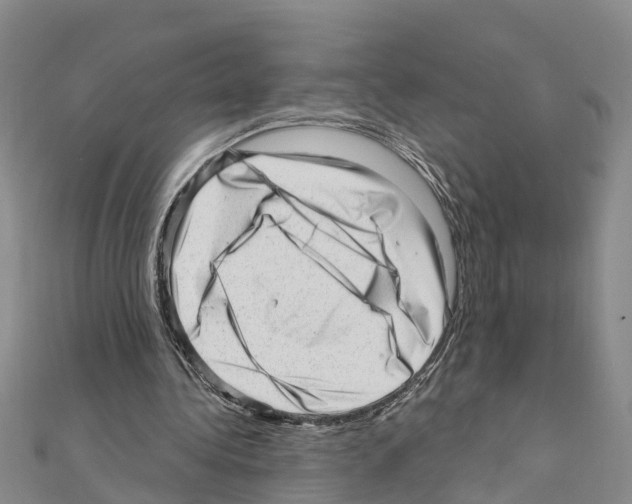 X0000111040340200908061501