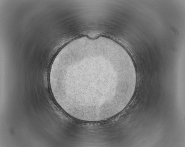 X0000111040345200908061501