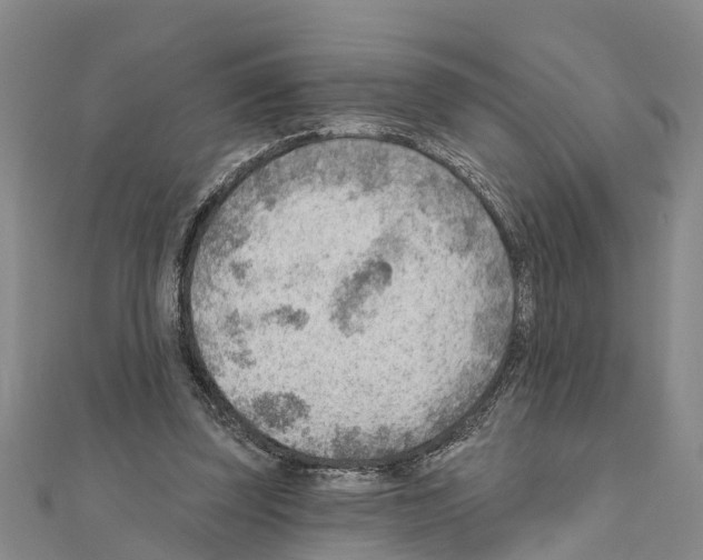 X0000111040347200908061501