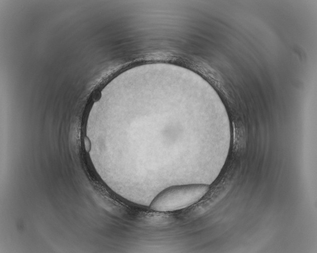 X0000111040348200908061501