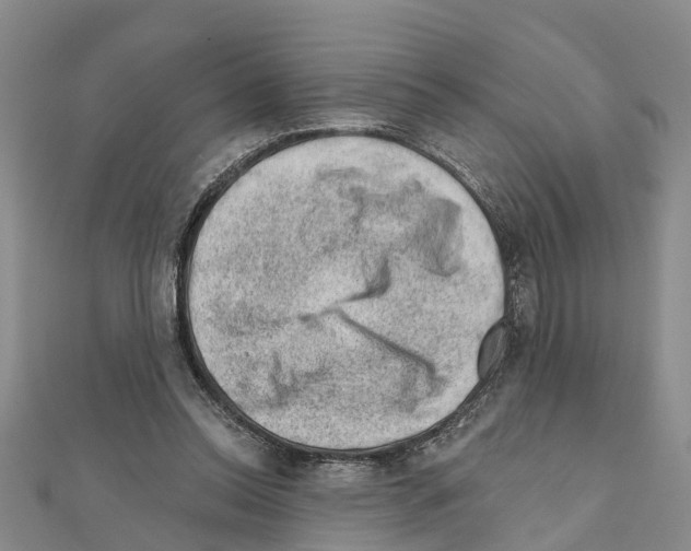 X0000111040350200908061501