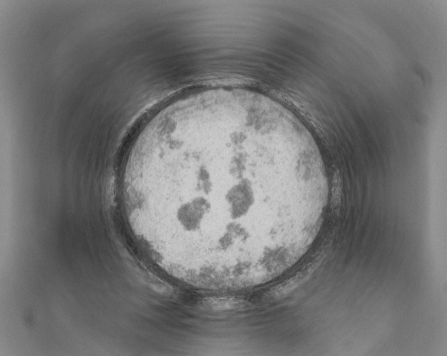 X0000111040351200908061501