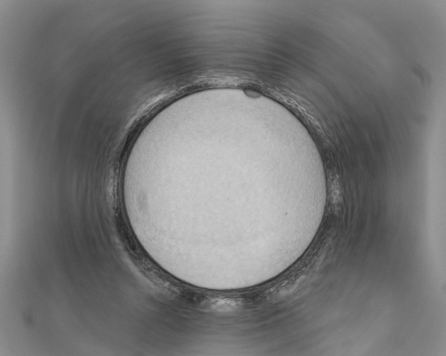 X0000111040352200908061501