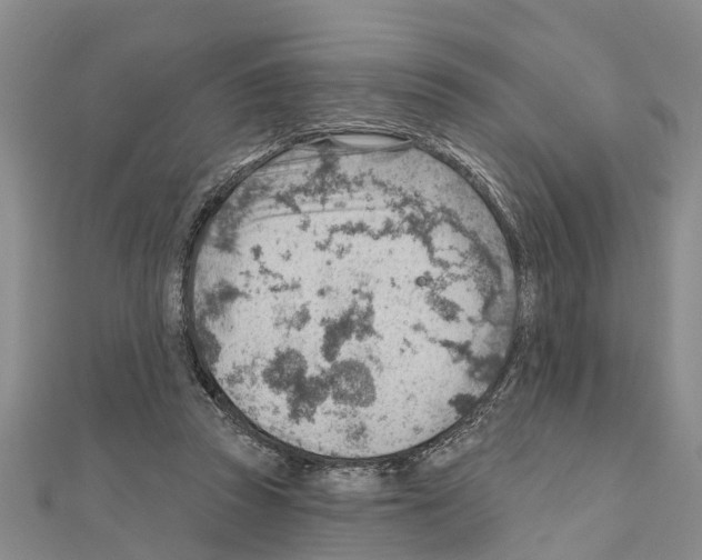 X0000111040353200908061501