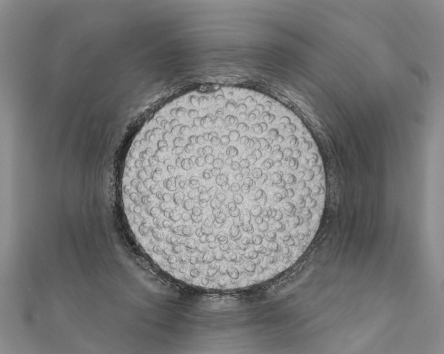 X0000111040354200908061501