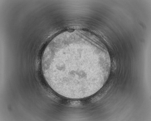 X0000111040355200908061501