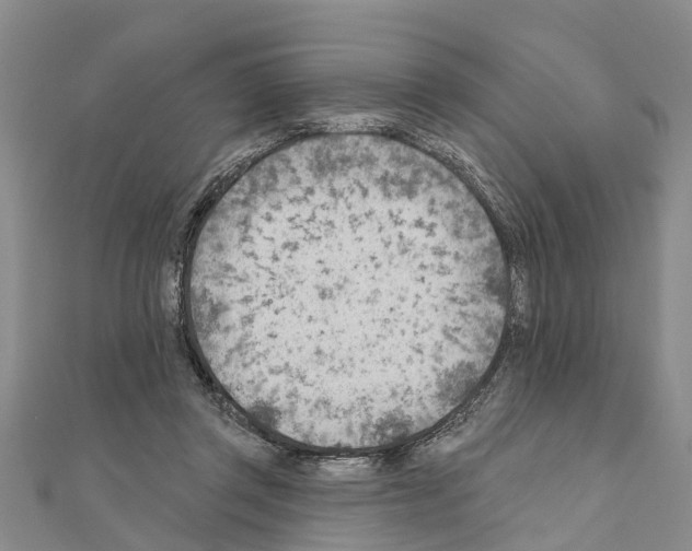 X0000111040357200908061501