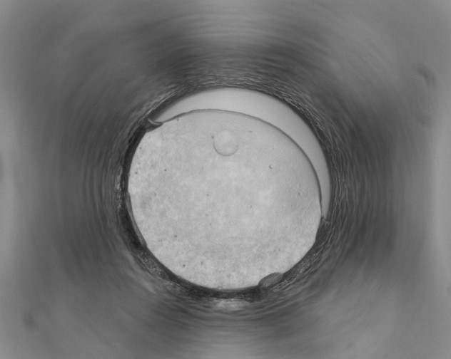 X0000111040360200908061501