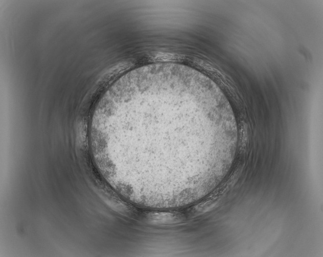 X0000111040361200908061501