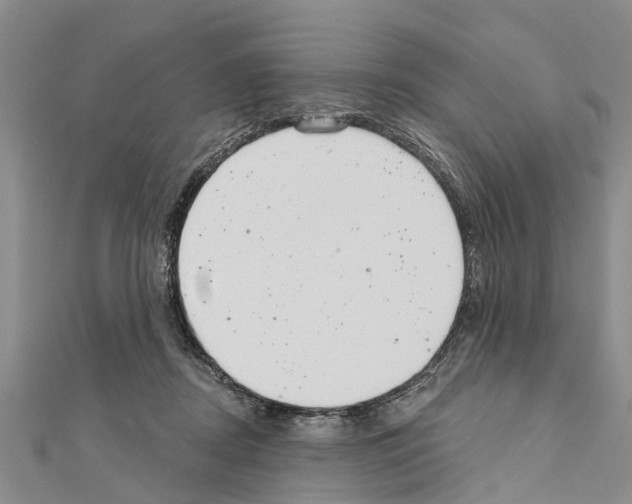 X0000111040362200908061501