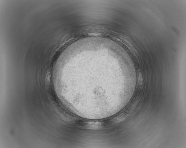 X0000111040363200908061501