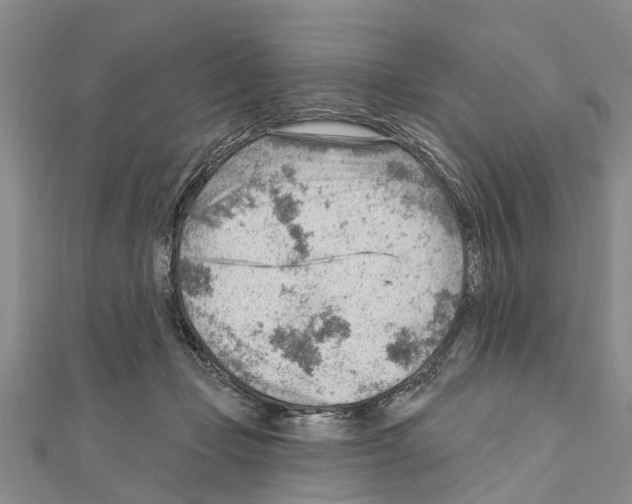 X0000111040365200908061501