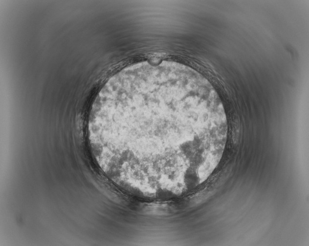 X0000111040366200908061501