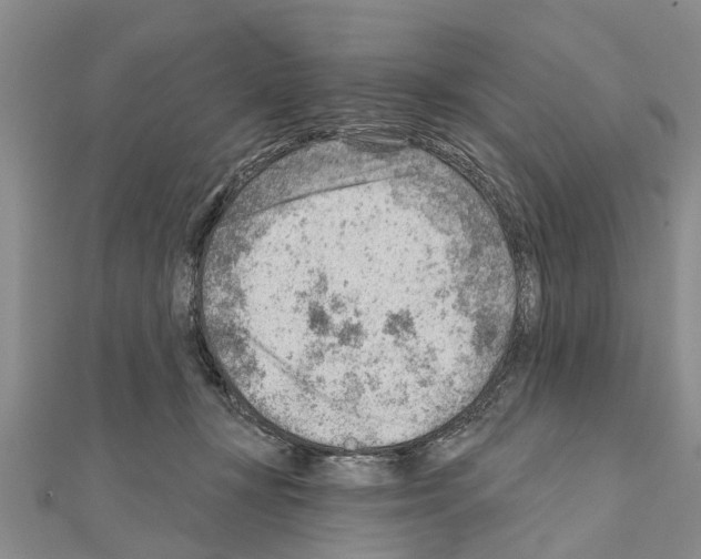 X0000111040367200908061501