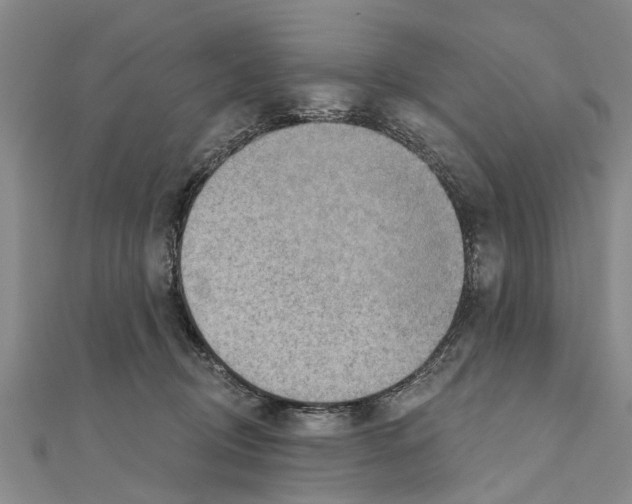 X0000111040370200908061501