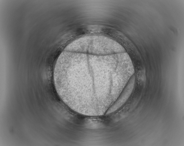 X0000111040372200908061502