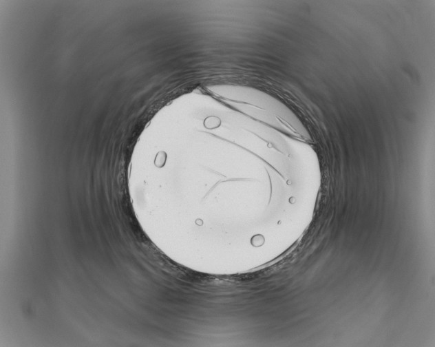 X0000111040376200908061502