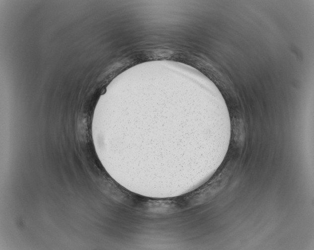 X0000111040378200908061502