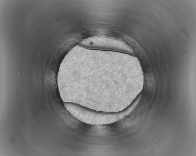 X0000111040380200908061502