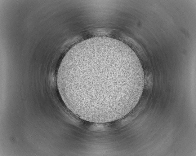 X0000111040381200908061502