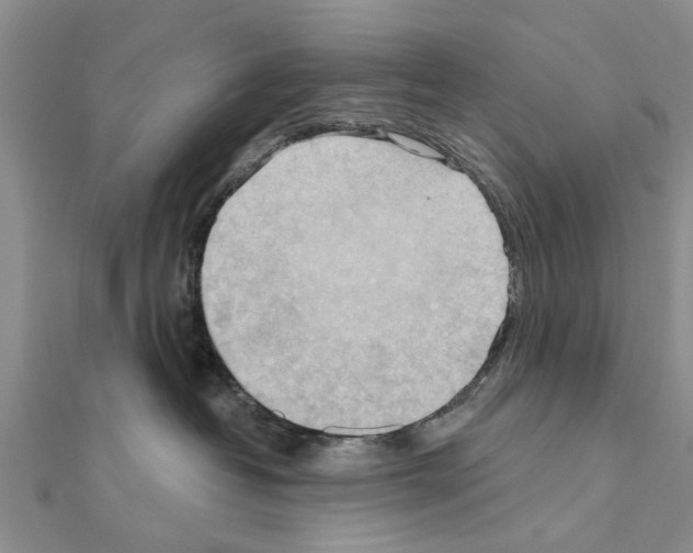 X0000111040382200908061502