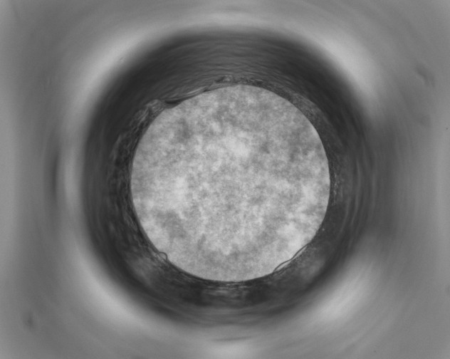 X0000111040383200908061502