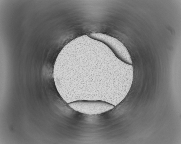 X0000111040384200908061502