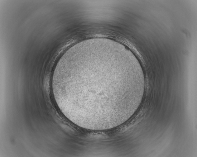 X0000111040386200908061501