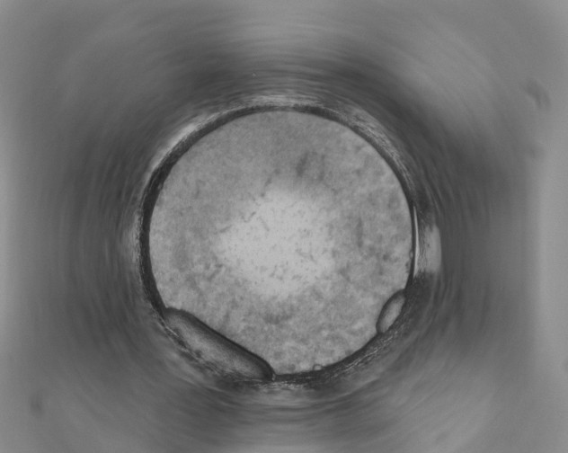 X0000111040387200908061501