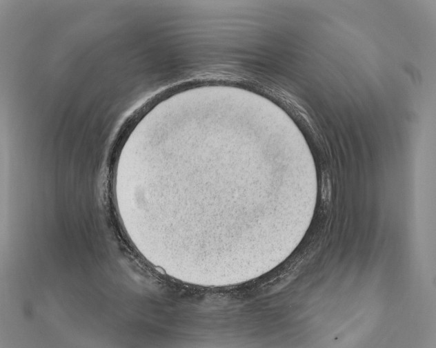 X0000111040388200908061501