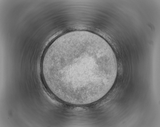 X0000111040390200908061501