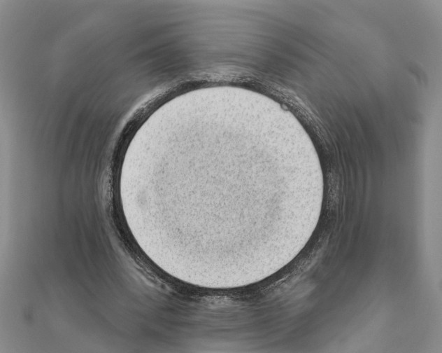 X0000111040392200908061501