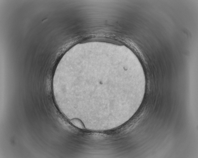 X0000111040393200908061501