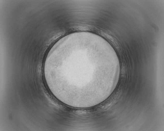 X0000111040394200908061501