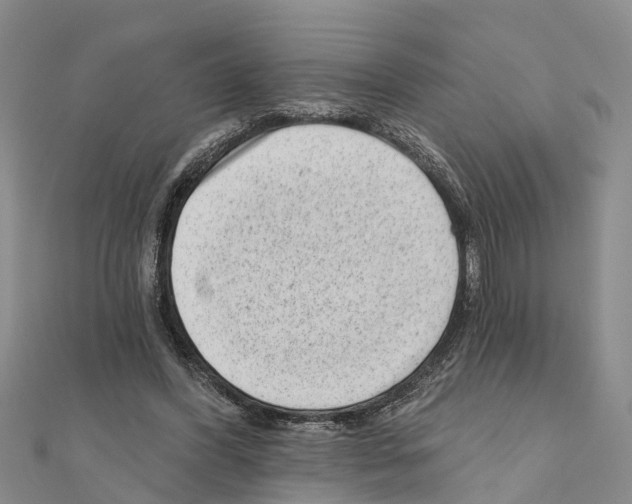 X0000111040396200908061501