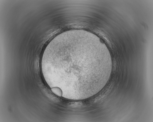 X0000111040398200908061501