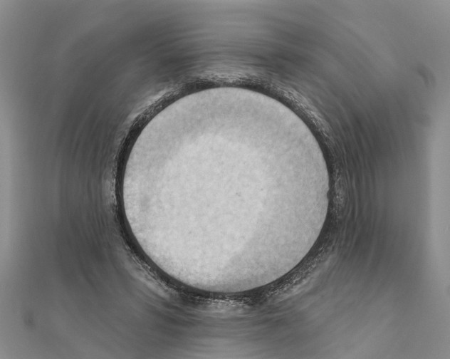 X0000111040399200908061501