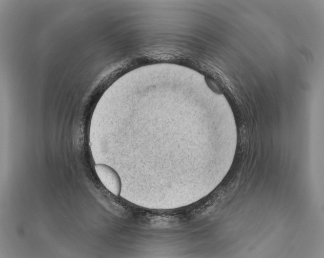 X0000111040400200908061501