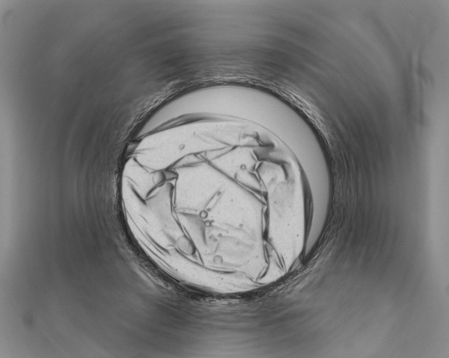 X0000111040401200908061501