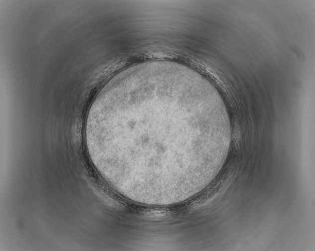 X0000111040402200908061501