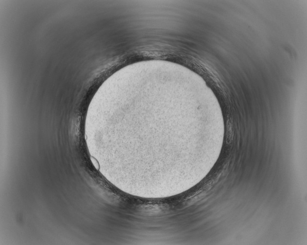 X0000111040404200908061501