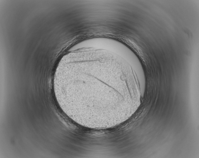 X0000111040405200908061501