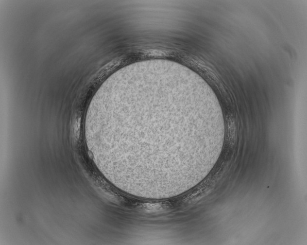 X0000111040406200908061501