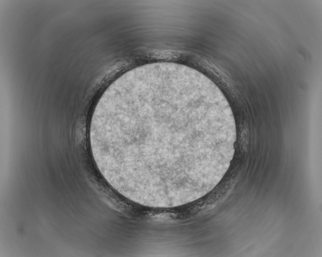 X0000111040407200908061501