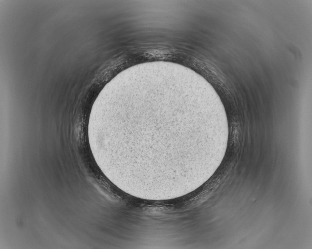 X0000111040408200908061501