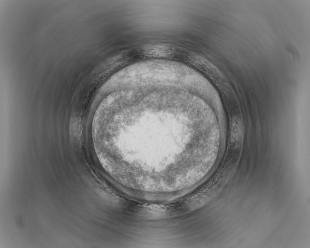 X0000111040409200908061501