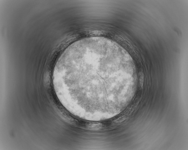 X0000111040410200908061501