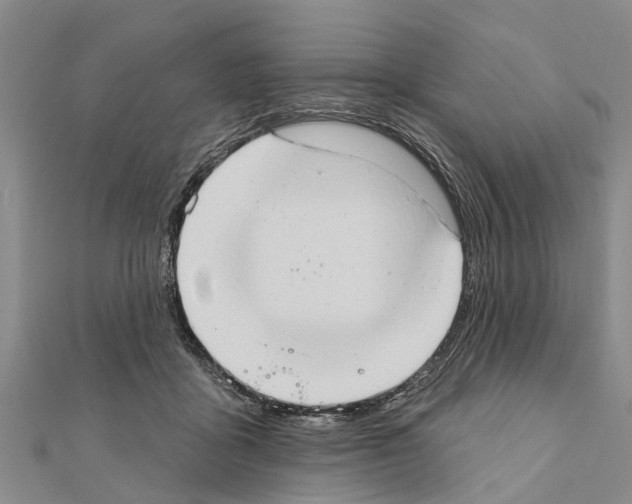 X0000111040411200908061501